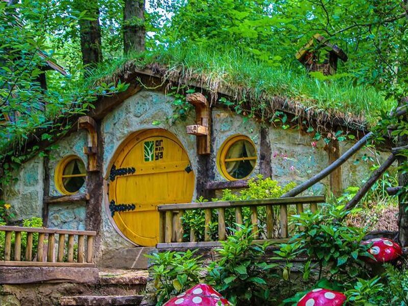 Sapanca Maşukiye Ormanya Turu