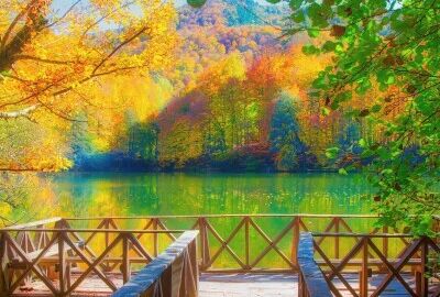 Sapanca Maşukiye Ormanya Turu