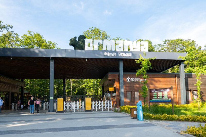 Sapanca Maşukiye Ormanya Turu