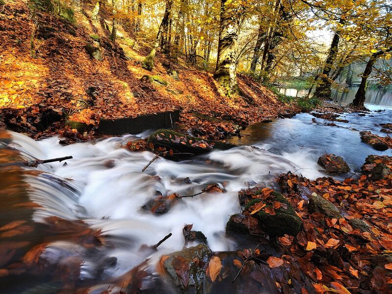Bolu Gölcük Yedigöller Turu