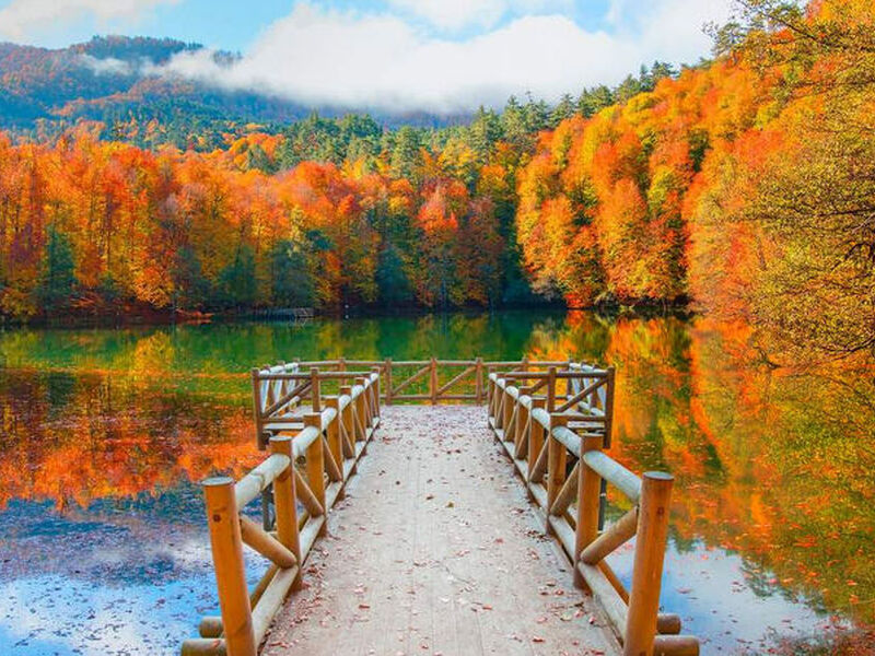 Bolu Gölcük Yedigöller Turu