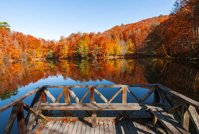 Bolu Gölcük Yedigöller Turu