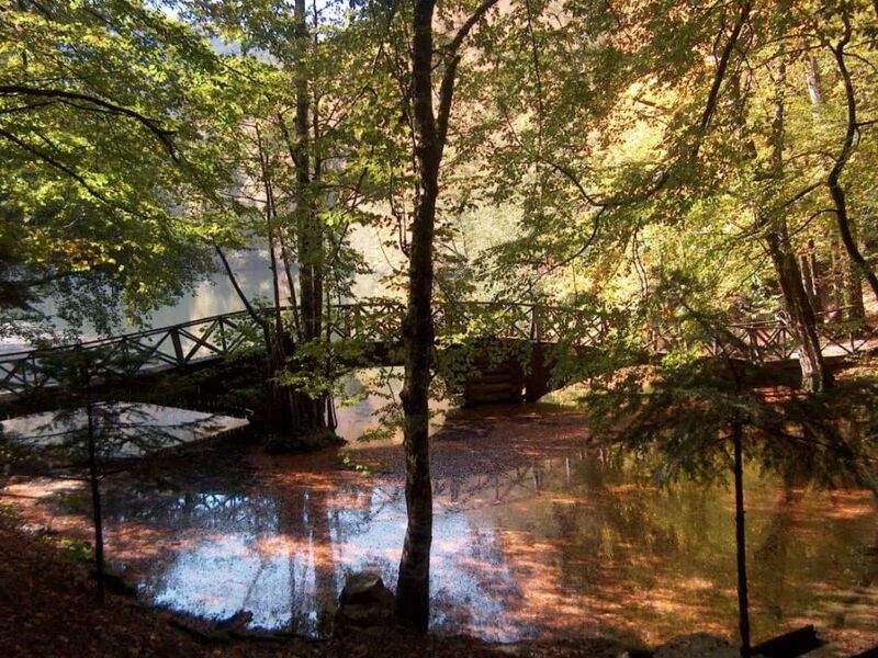 Bolu Gölcük Yedigöller Turu