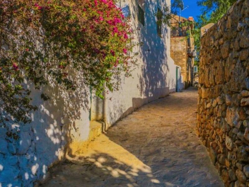 Datça Badem Çiçeği Festivali Turu 1 Gece 2 gün