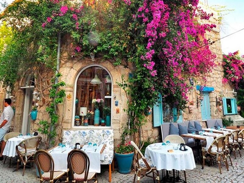 İzmir Karaburun Nergis Çiçeği Festivali Turu  1 Gece 2 Gün