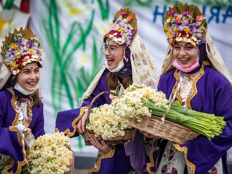 İzmir Karaburun Nergis Çiçeği Festival Turu