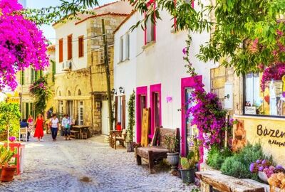 İzmir Karaburun Nergis Çiçeği Festival Turu