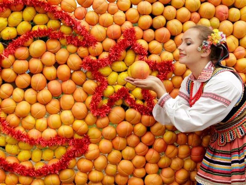 Adana Portakal Çiçeği Festivali